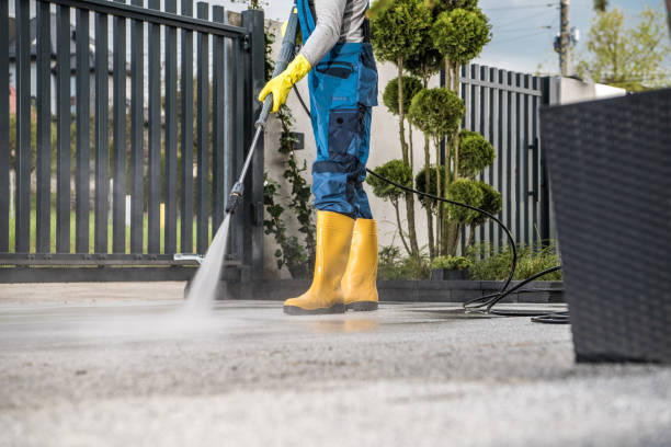Best Soft Washing for Delicate Surfaces in Kountze, TX